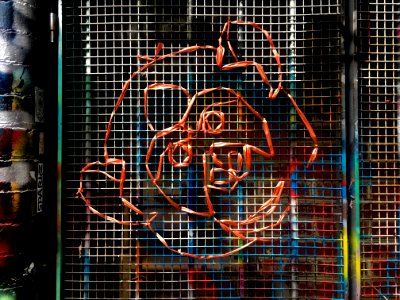 Plastic Wrap Monkey Art