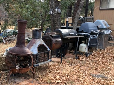 They Like Barbecue