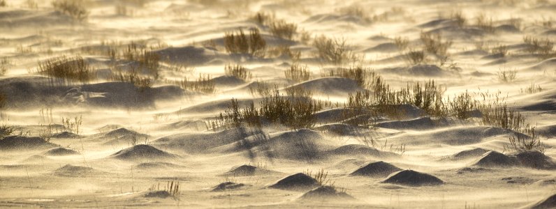 Sage Steppe in winter at Seedskadee National Wildlife Refuge
