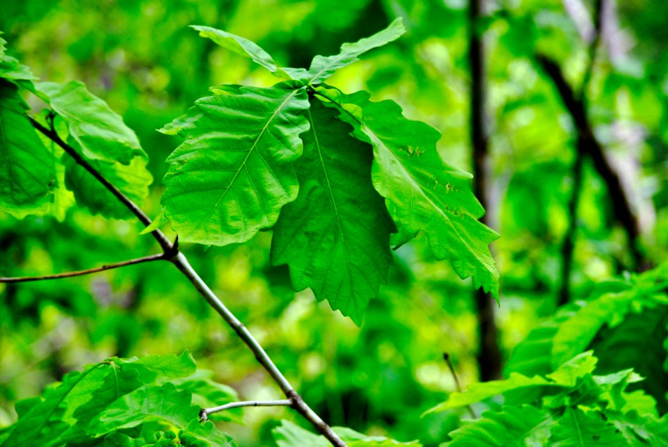 Bukhansan National Park
