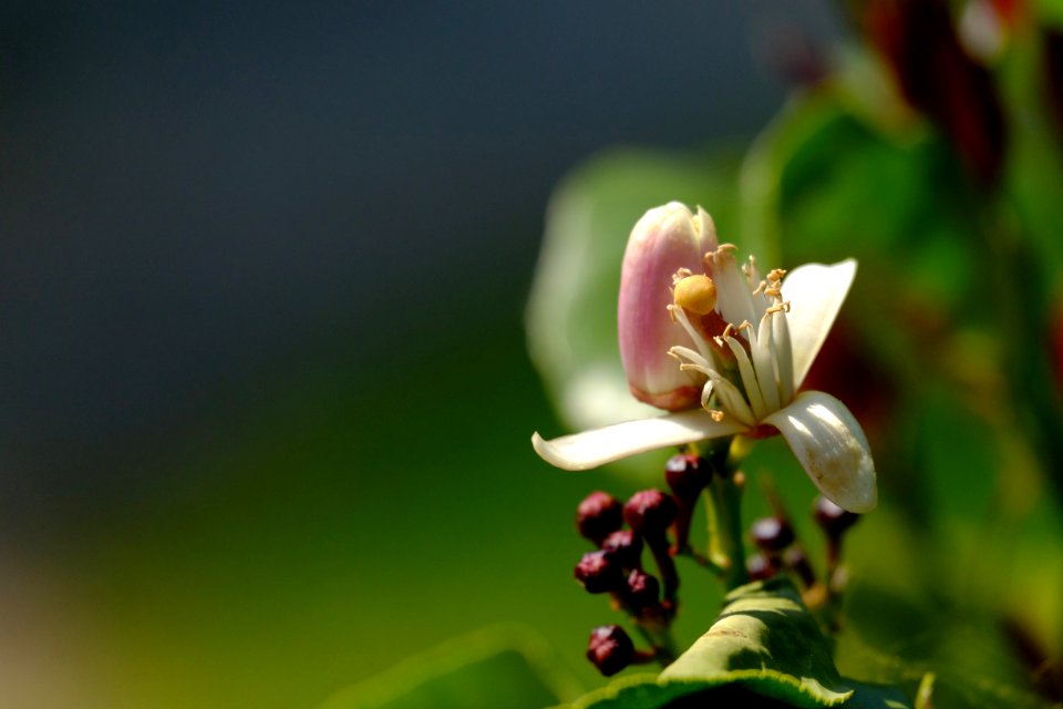 DSCF0403