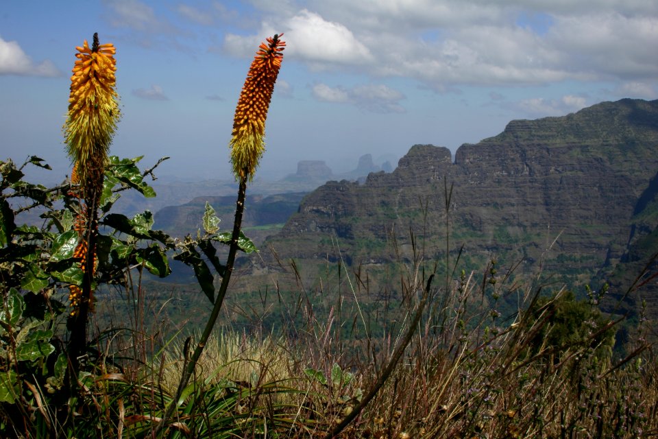 Simien Mountains National Park, Ethiopia