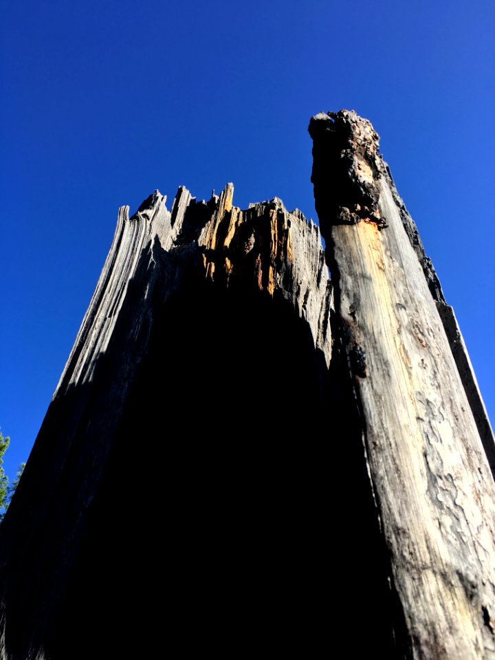 Pinnacle