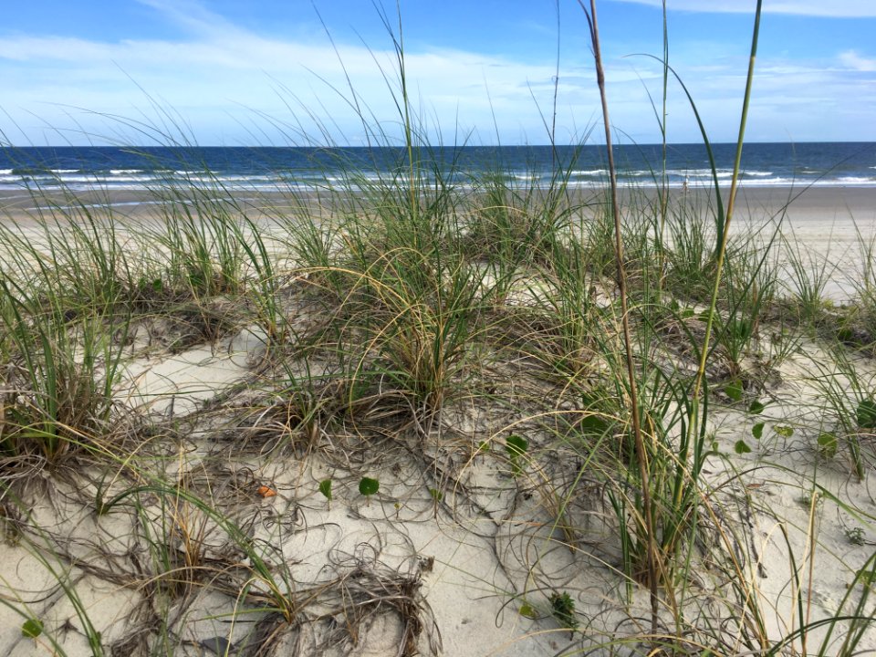 Holding Sand