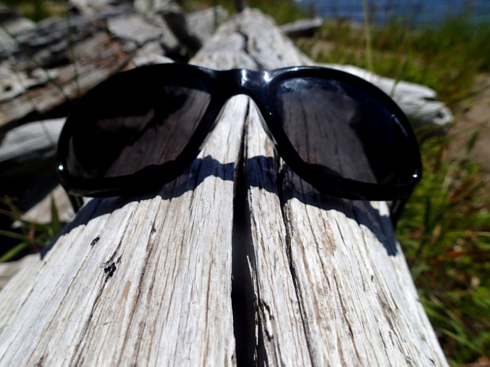 Shades on Dead Tree