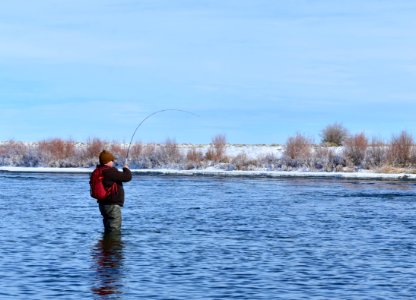 Winter time flyfishing at Seedskadee National Wildlife Refuge