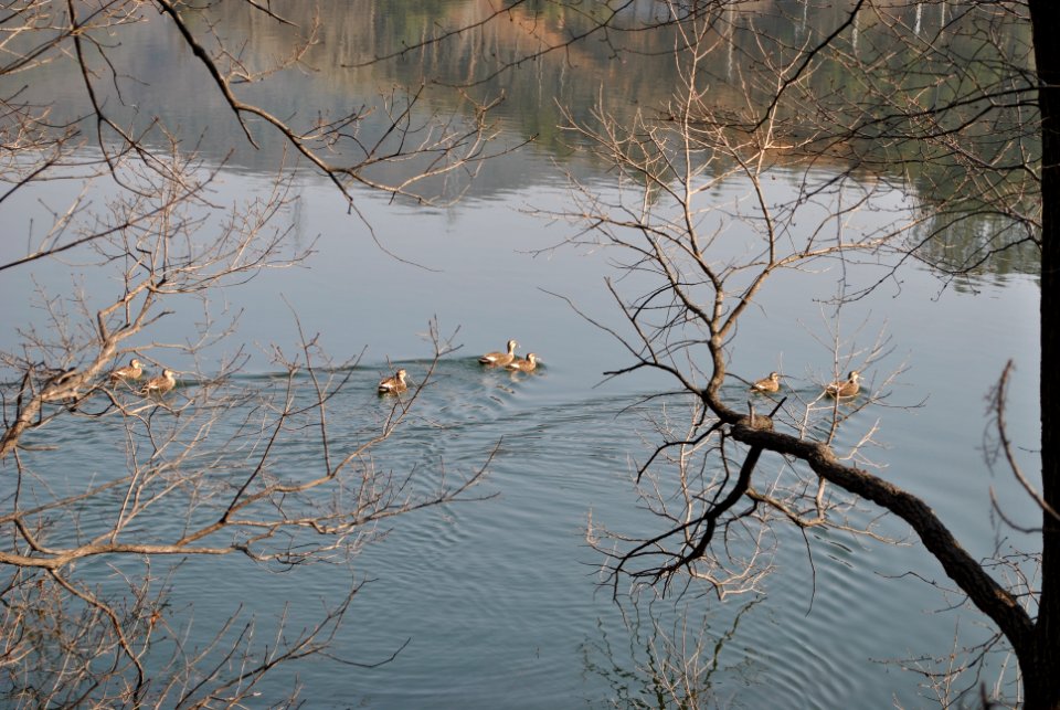 Madun Reservoir