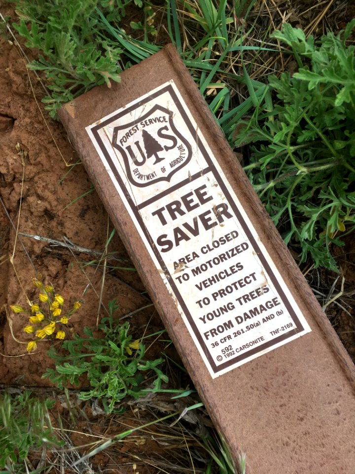 Saving Trees