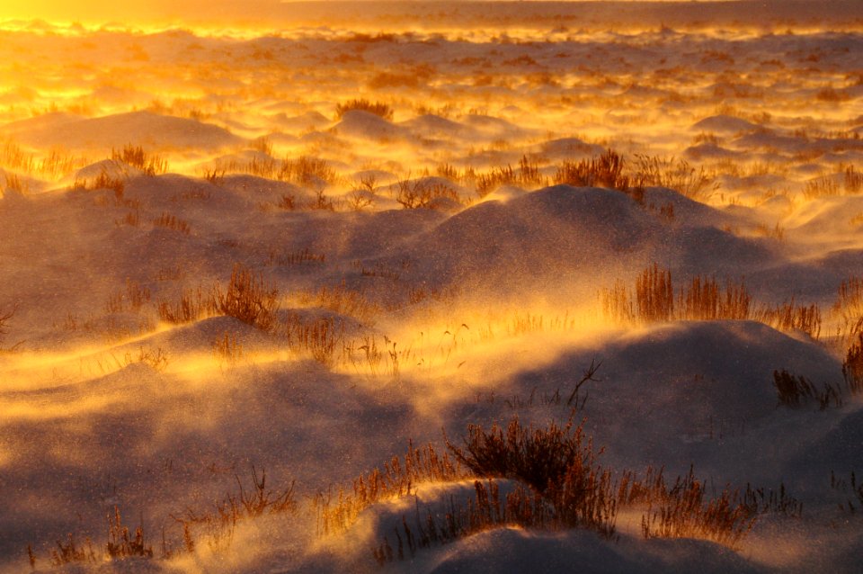 Snowy sage-steppe sunset at Seedskadee National Wildlife Refuge