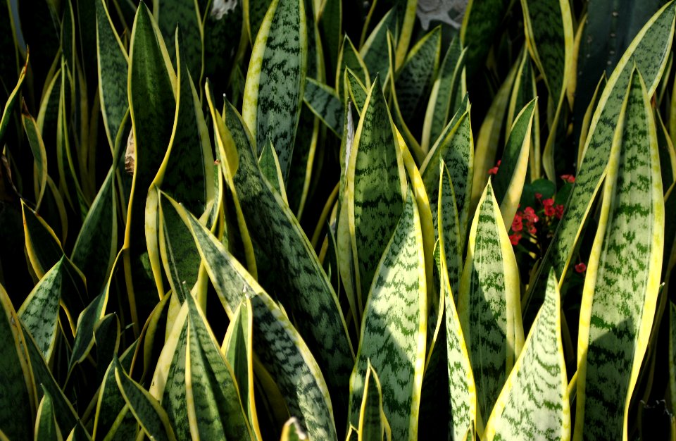 Asan Botanical Garden