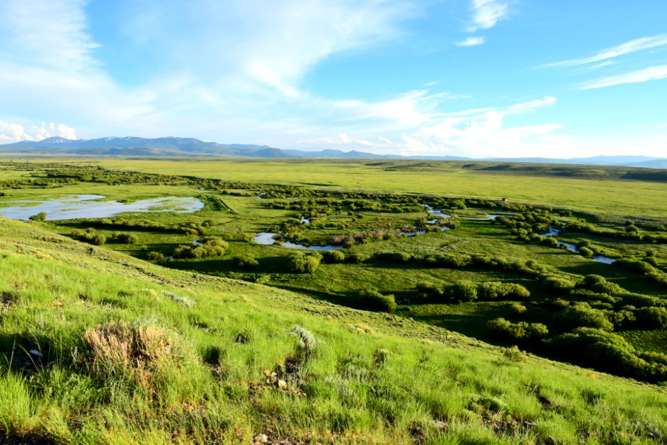 The Illinois River and adjacent wetlands and oxbows on Arapaho National Wildlife Refuge