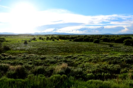 Illinois River on Arapaho National Wildlife Refuge