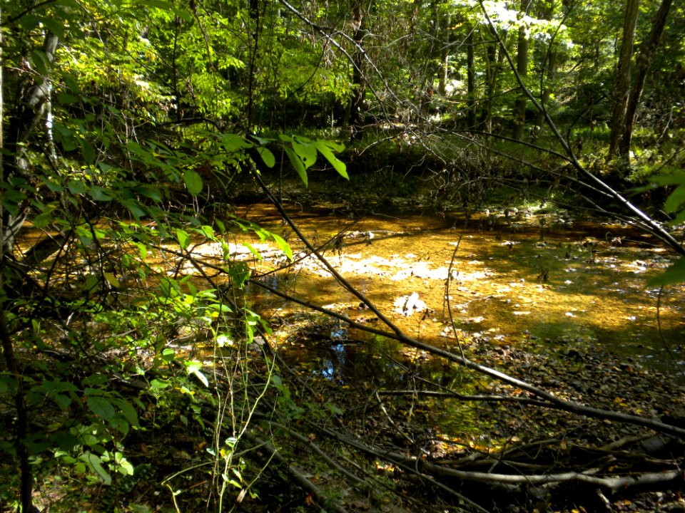 Valley Mill Park