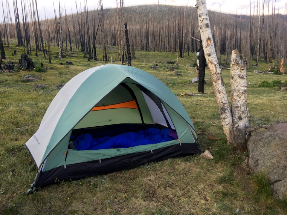Home in the Mountains