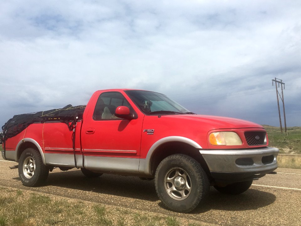 Red Dog Zipping Through Montana