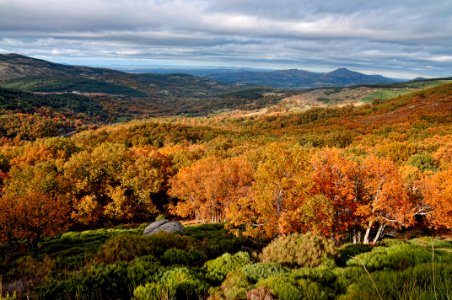 Otoño photo