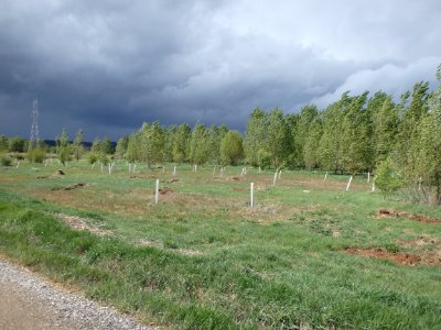 orage sur le chemin de burgos photo