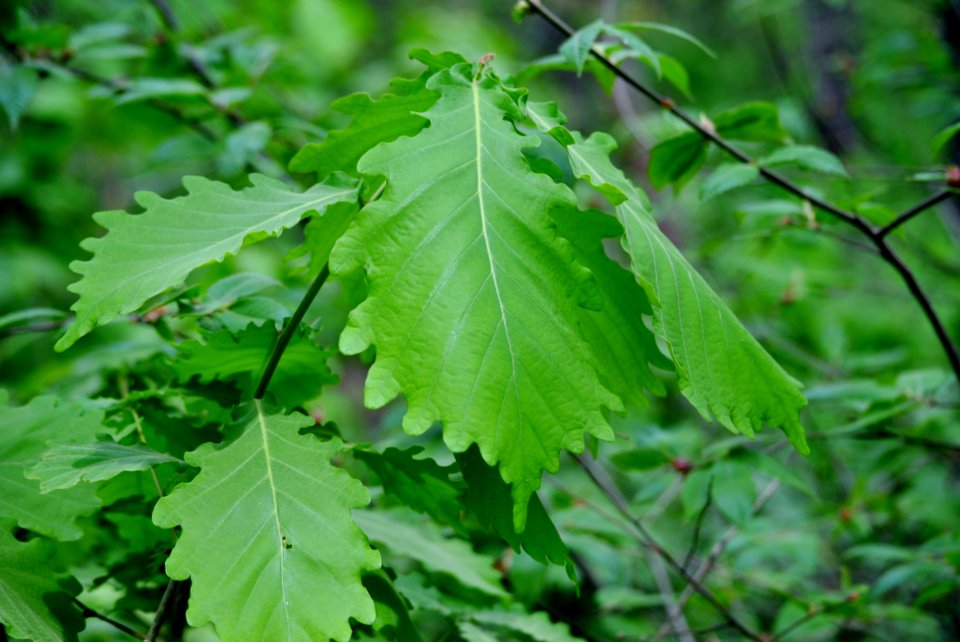 Bukhansan National Park