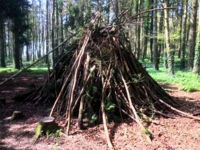 Gimme Shelter