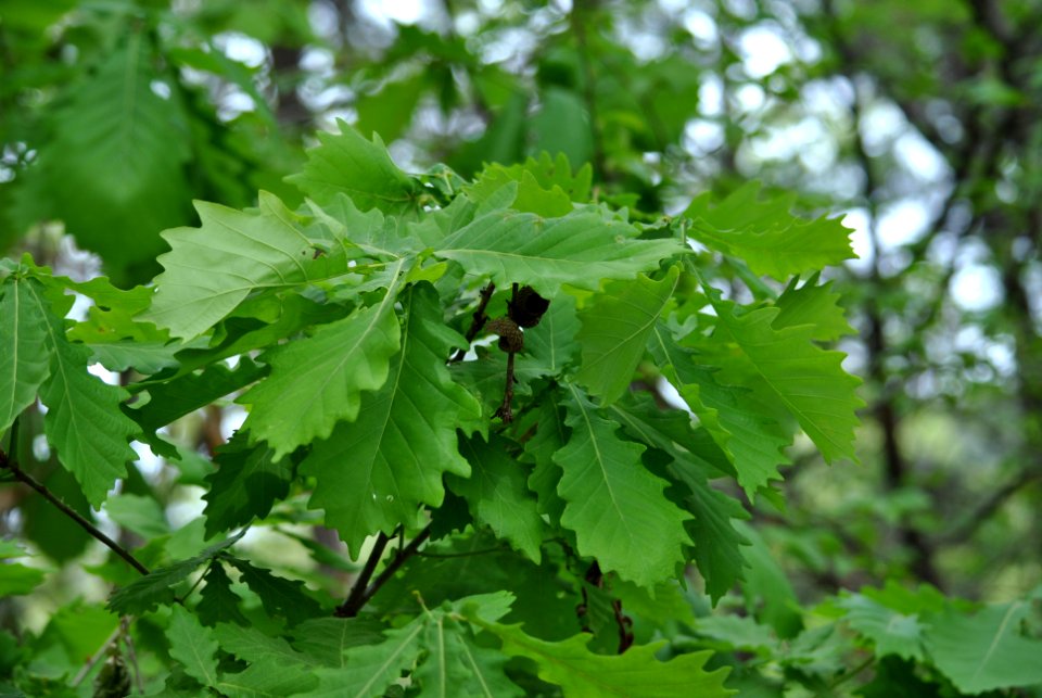 Bukhansan National Park