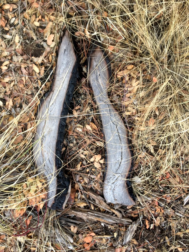 Somewhere a Wooden Horse Wonders Where His Forelegs Went...
