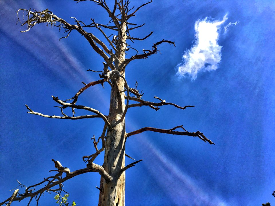 Under the Sky in Motion