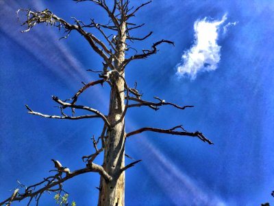 Under the Sky in Motion
