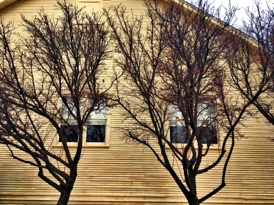 The House With Eyes