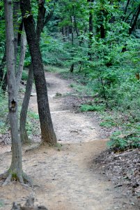 Youngin Mountain Hiking photo