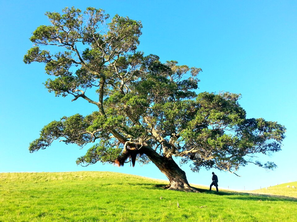 Nature landscape earth