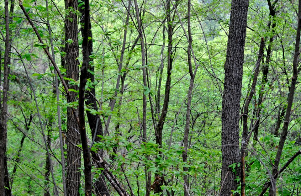 Bukhansan National Park