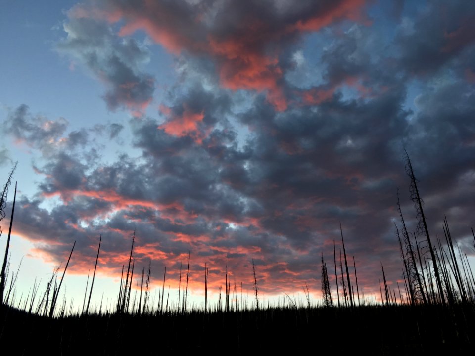 And this Sky