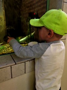 Kids Fun Day at the hatchery