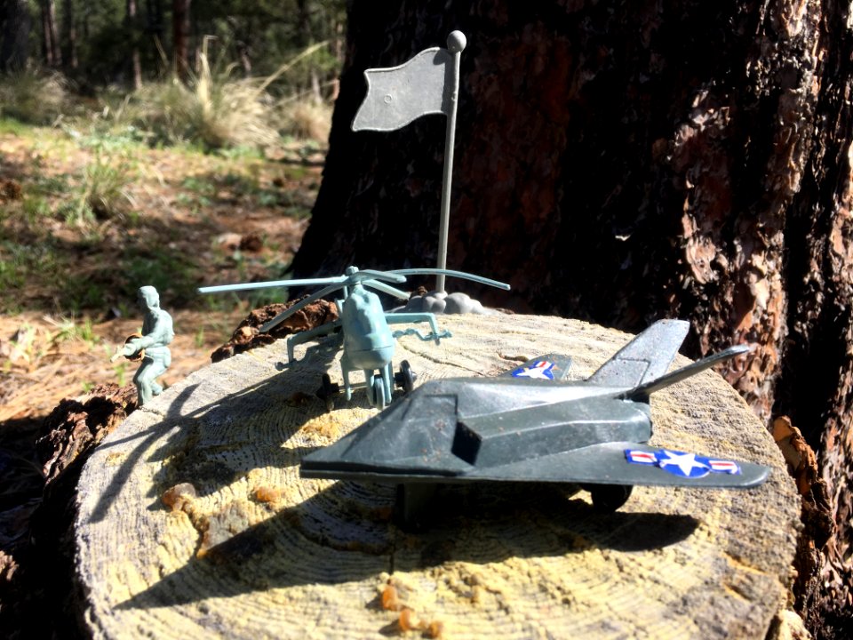 Defending the Forests