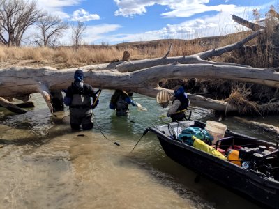 Barge Electrofishing