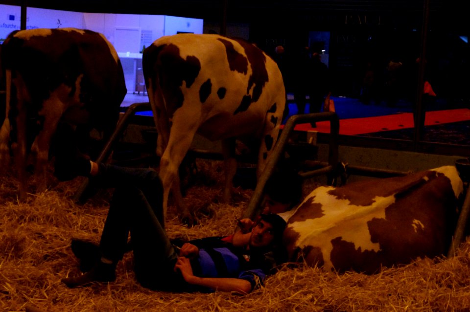 fin d'une journée fatiguante au salon de l'agriculture