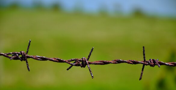 Landscape rust wireview