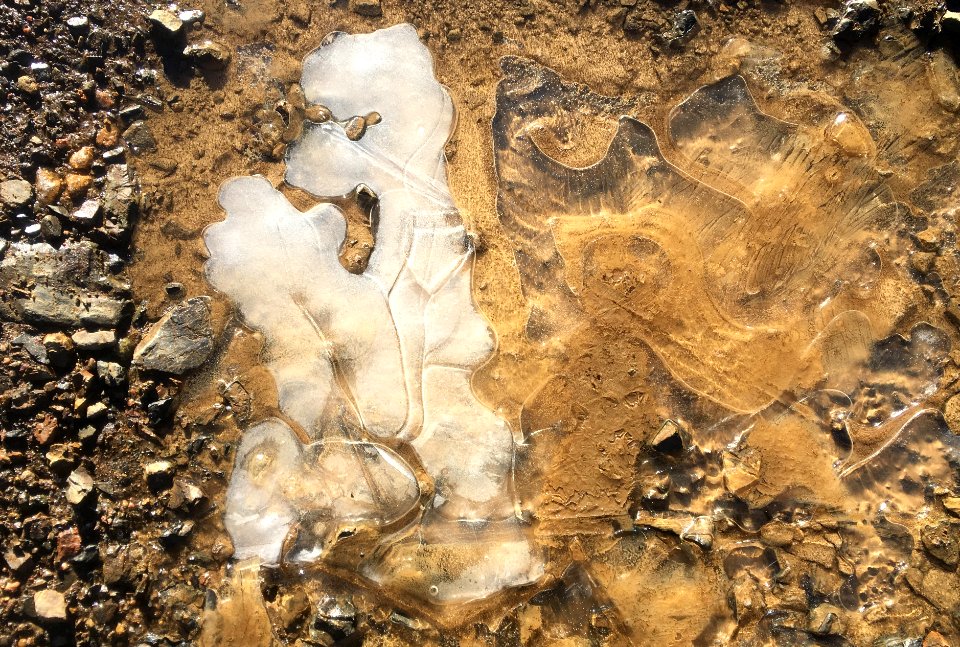 Frozen Mud Rorschach
