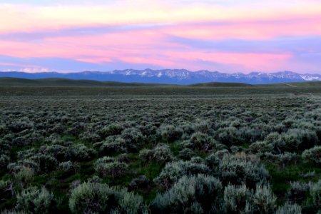 Sage steppe at sunset on Arapaho National Wildlife Refuge