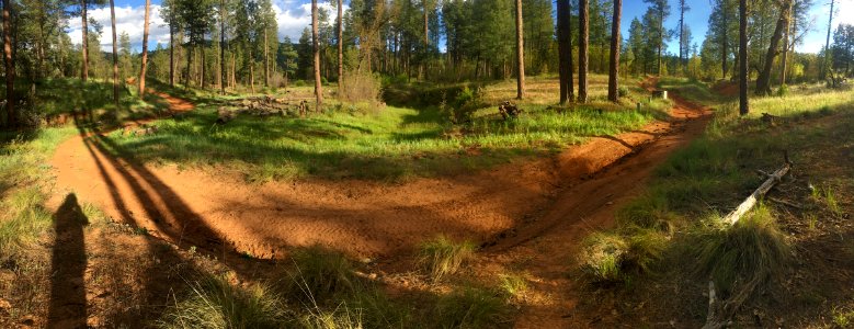 The Long and Curving Road