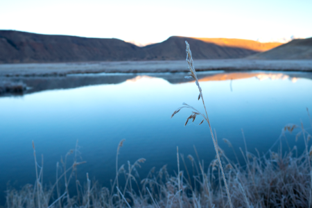 Morning View on the Refuge