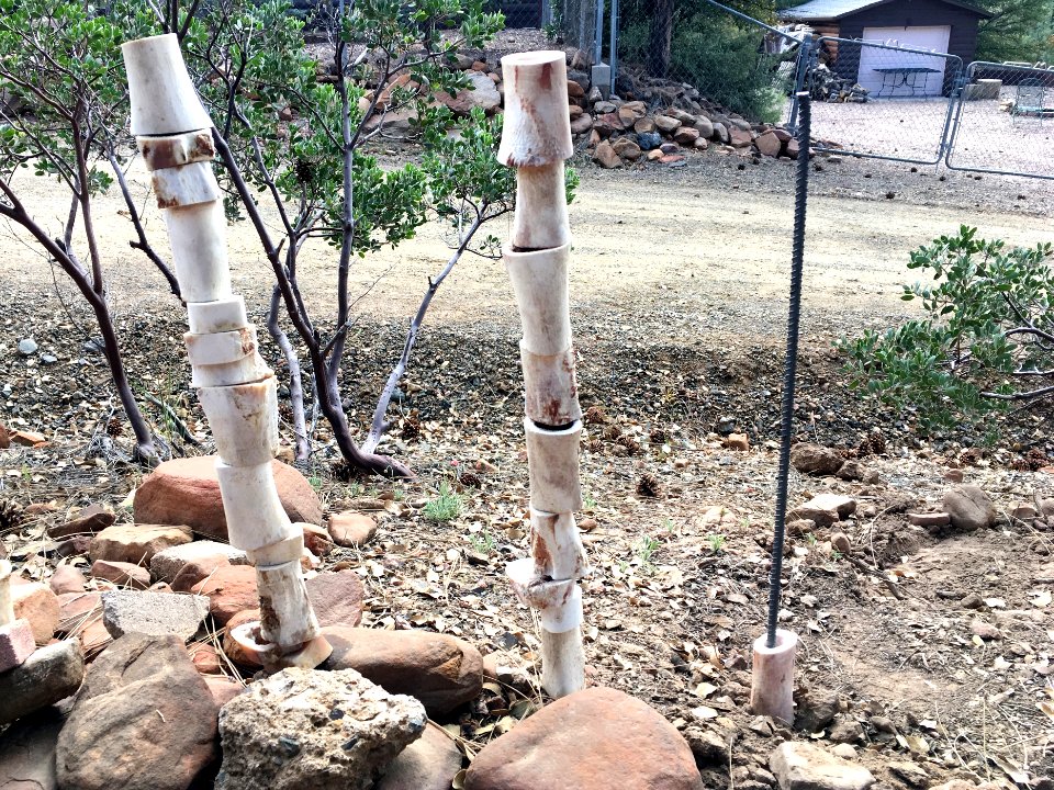 Starting a New Bone Tower