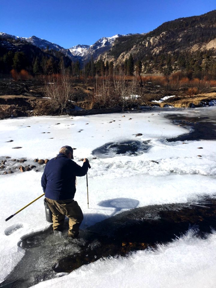 Collecting Fish samples