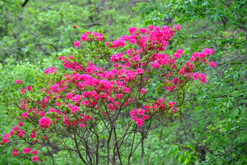 Bukhansan National Park