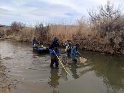 Barge Electrofishing