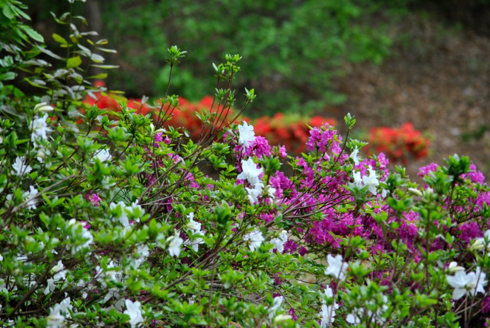 Bukhansan National Park