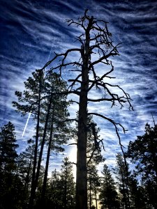 The Sky Conductor photo