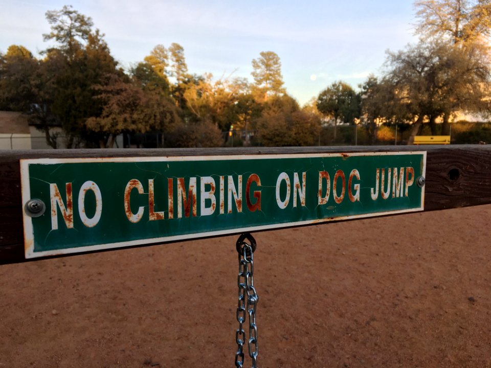No Jumping on Dog Climb Either