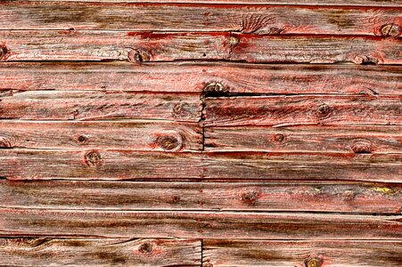 Wood texture background photo