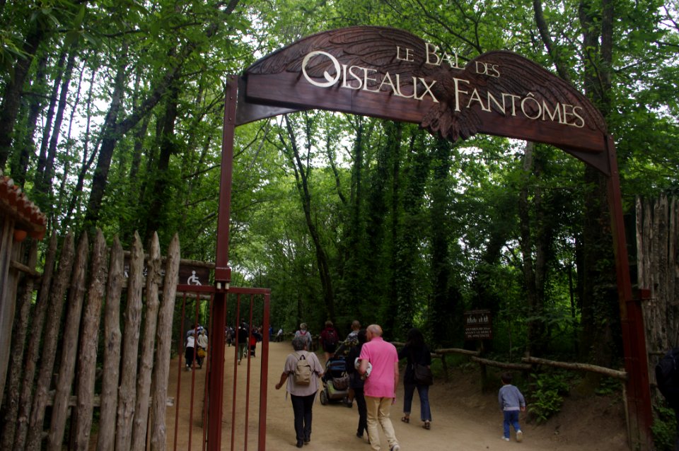 spectacle d'oiseau au puy du fou